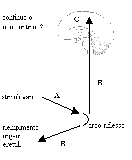 riflessi e libertà